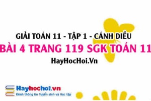 Giải bài 4 trang 119 Toán 11 tập 1 SGK Cánh Diều